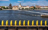 <i>Prague Penguin Parade</i>