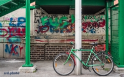 <i>Green</i>