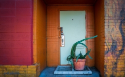 <i>Enter That Way</i>