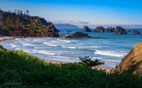 <i>Lone Surfer</i>