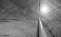 <i>High Noon</i>