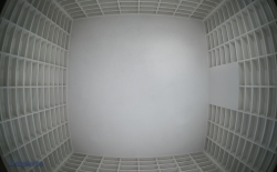 <i>Save the Books</i>