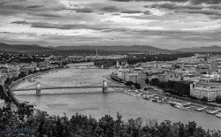 <i>The Danube Runs Through It</i>