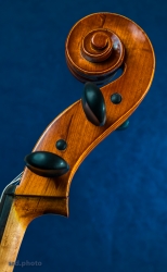 <i>Elegant Curves</i>